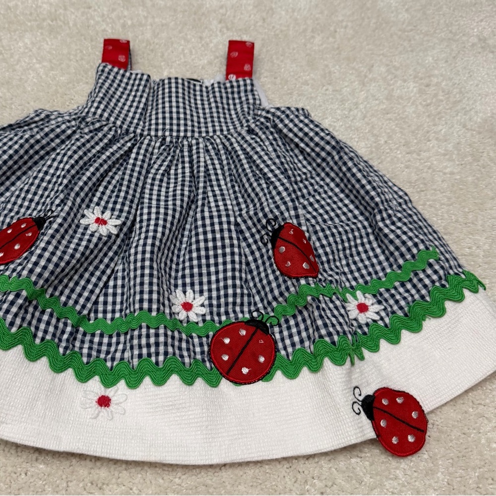 Rare Editions ladybug seersucker dress size 3-6 months